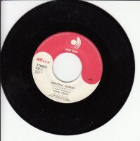 Daniel Boone - Beautiful Sunday (Japan)