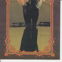 Michel Polnareff – I Love You Because (Japan)